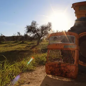 Agricampeggio La Piaggia - Piombino